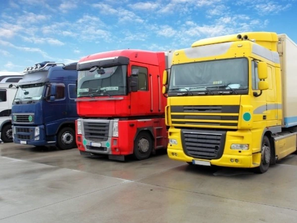 İzmir Söğüt Nakliye